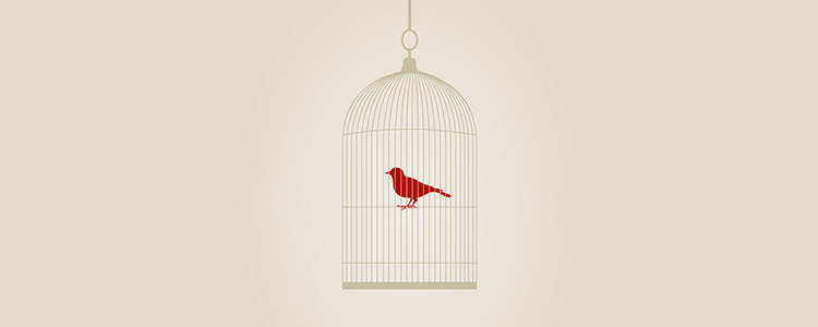 快速协议适配的网站攻击手段